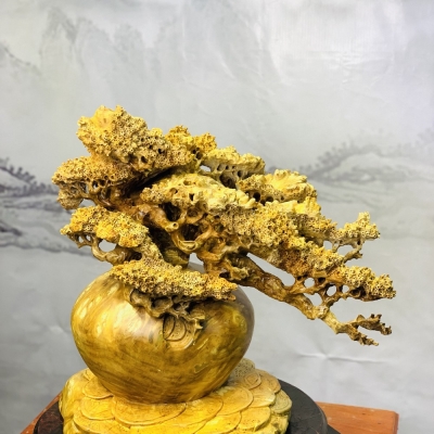 Bình tùng - Gỗ nu ngọc nghiến